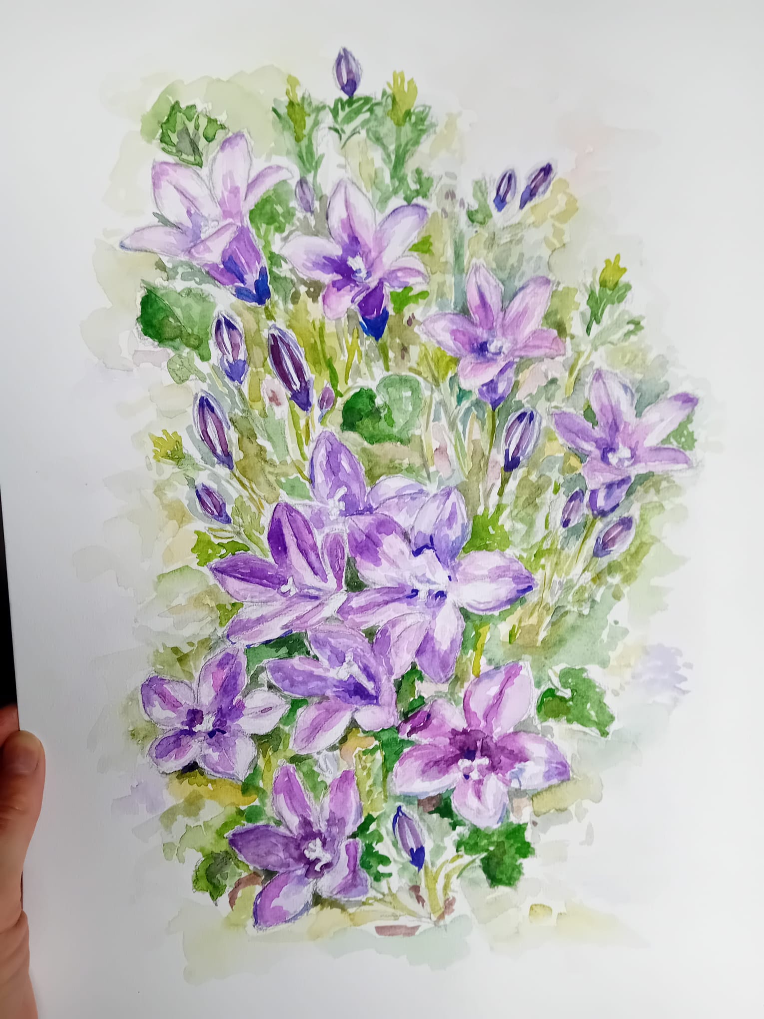 un disegno fatto ad acquerello con dei fiori viola